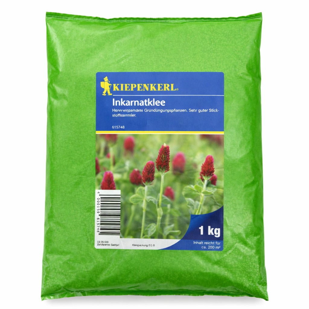 Inkarnatklee Kiepenkerl