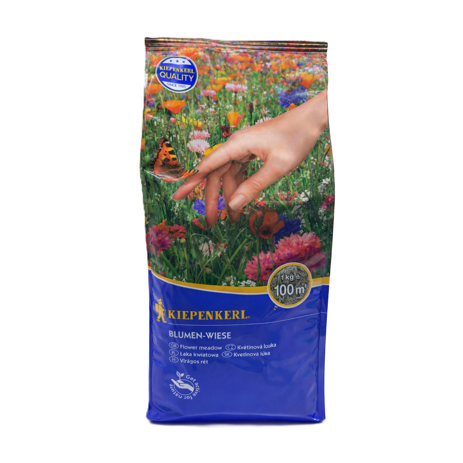 Blumen-Wiese 1 kg | Blühmischung | Kiepenkerl