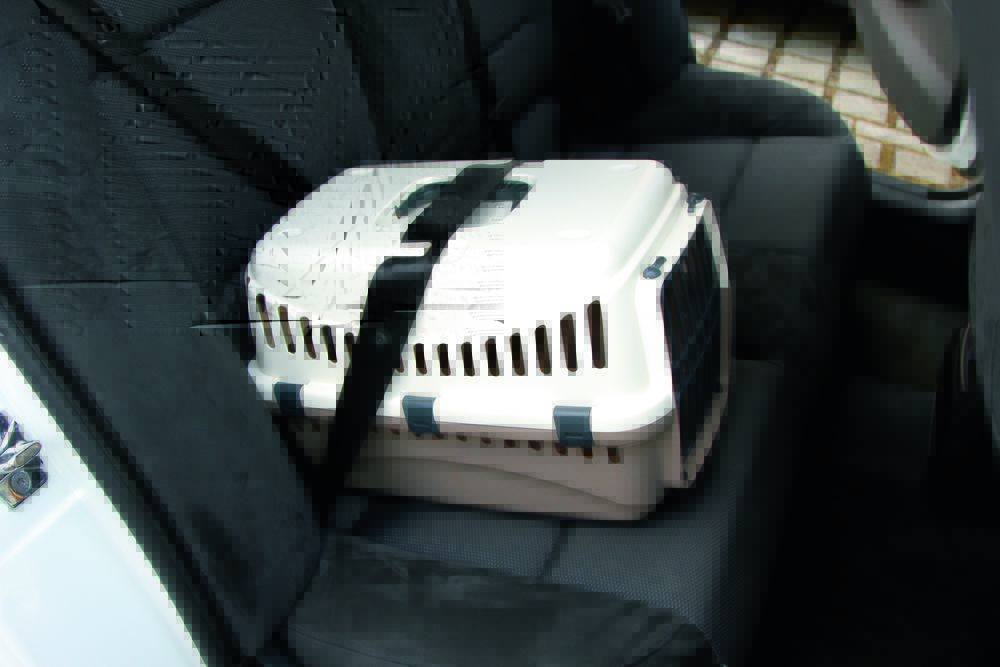 Transportbox für Katzen und Hunde
