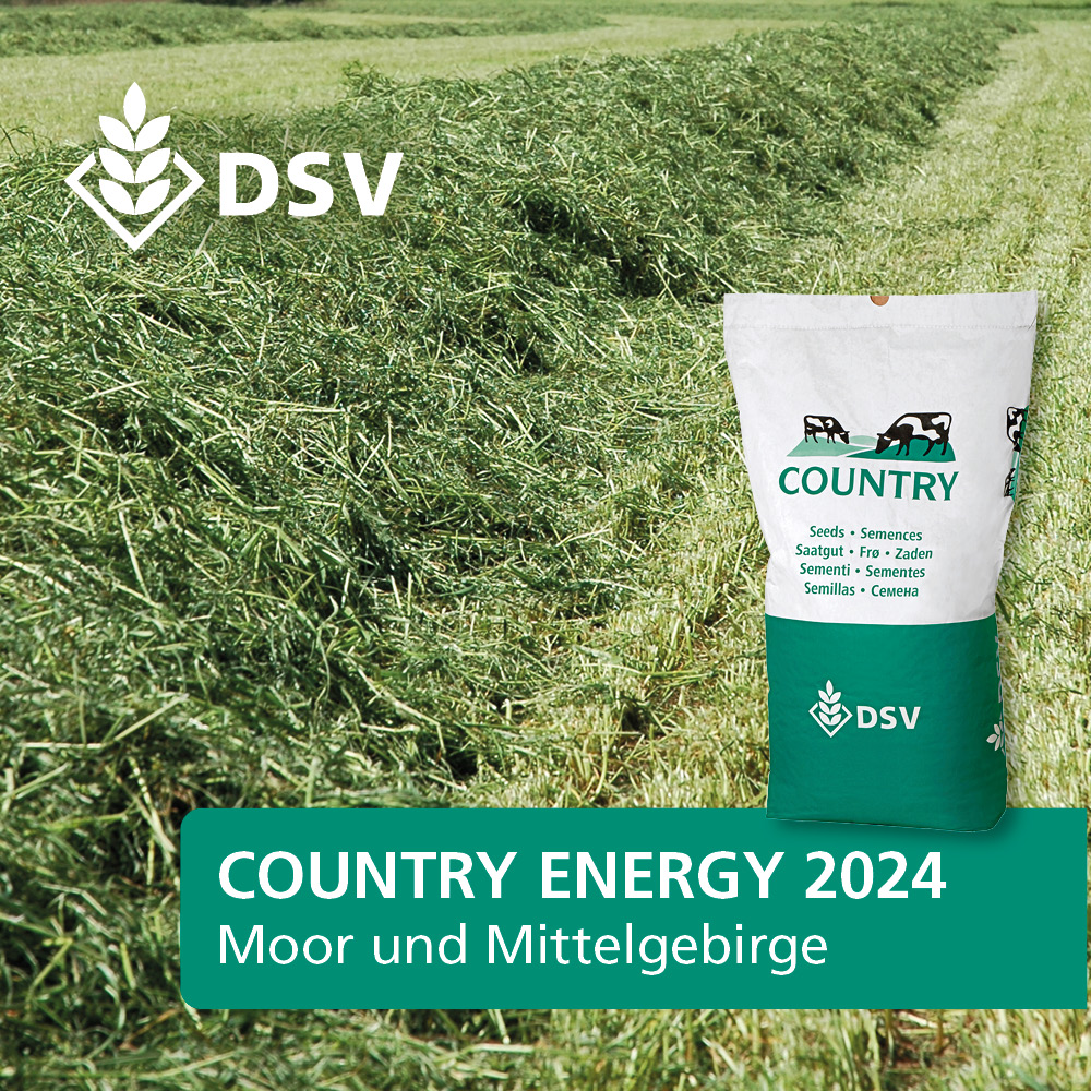 DSV Country Energy 2024
