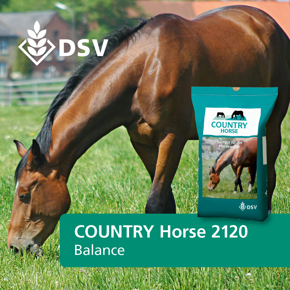 DSV Country Horse 2120