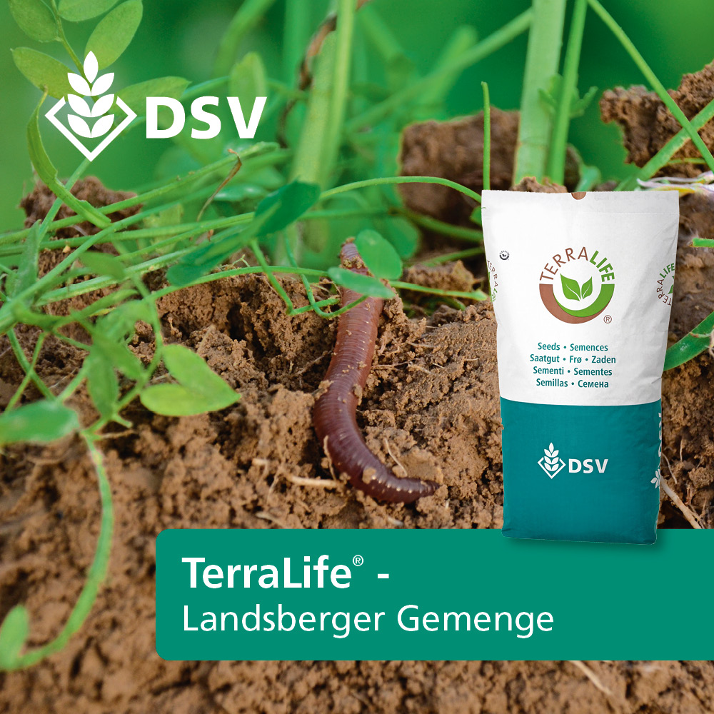 DSV TERRALIFE® Landsberger Gemenge