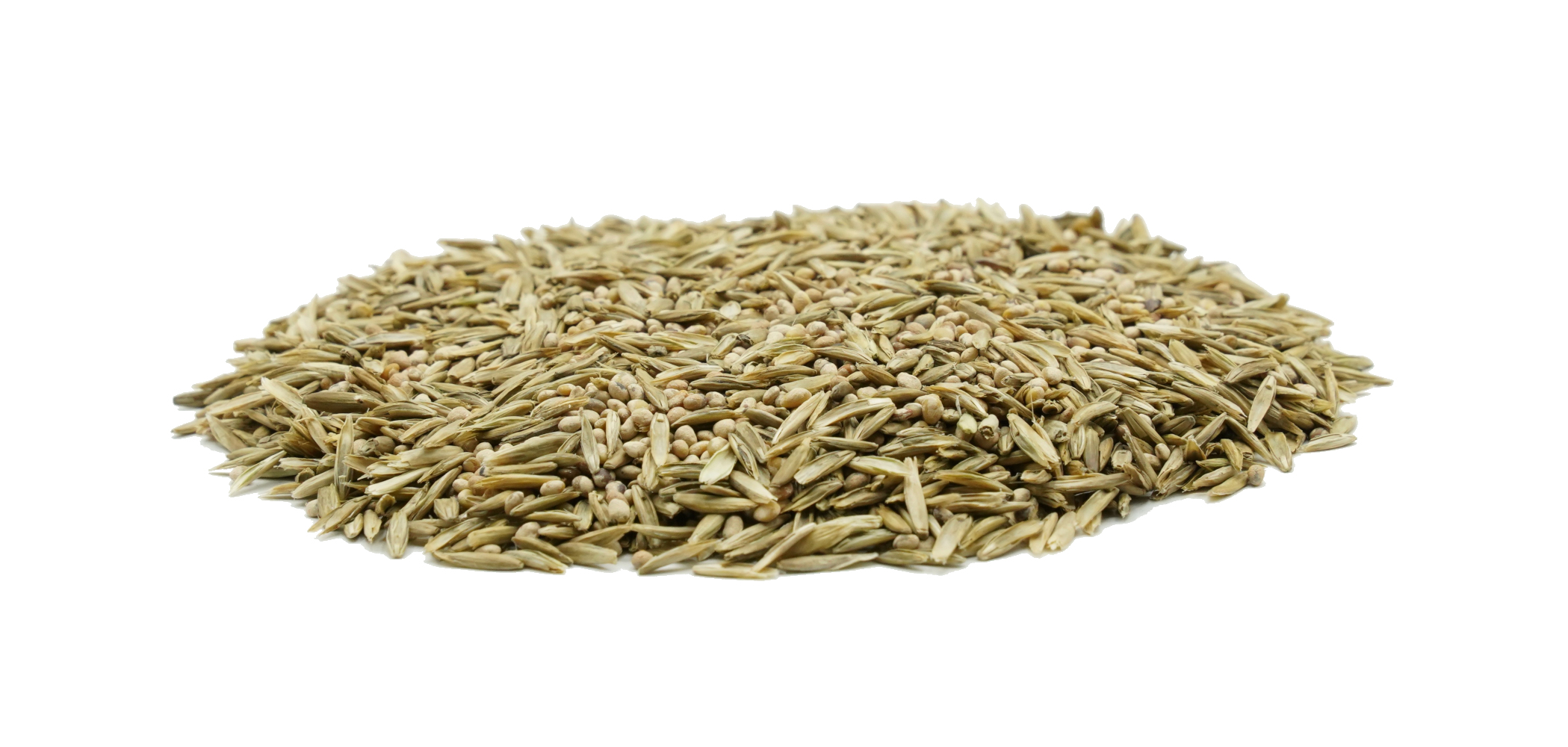 DSV Country Grünland G 2473 organic