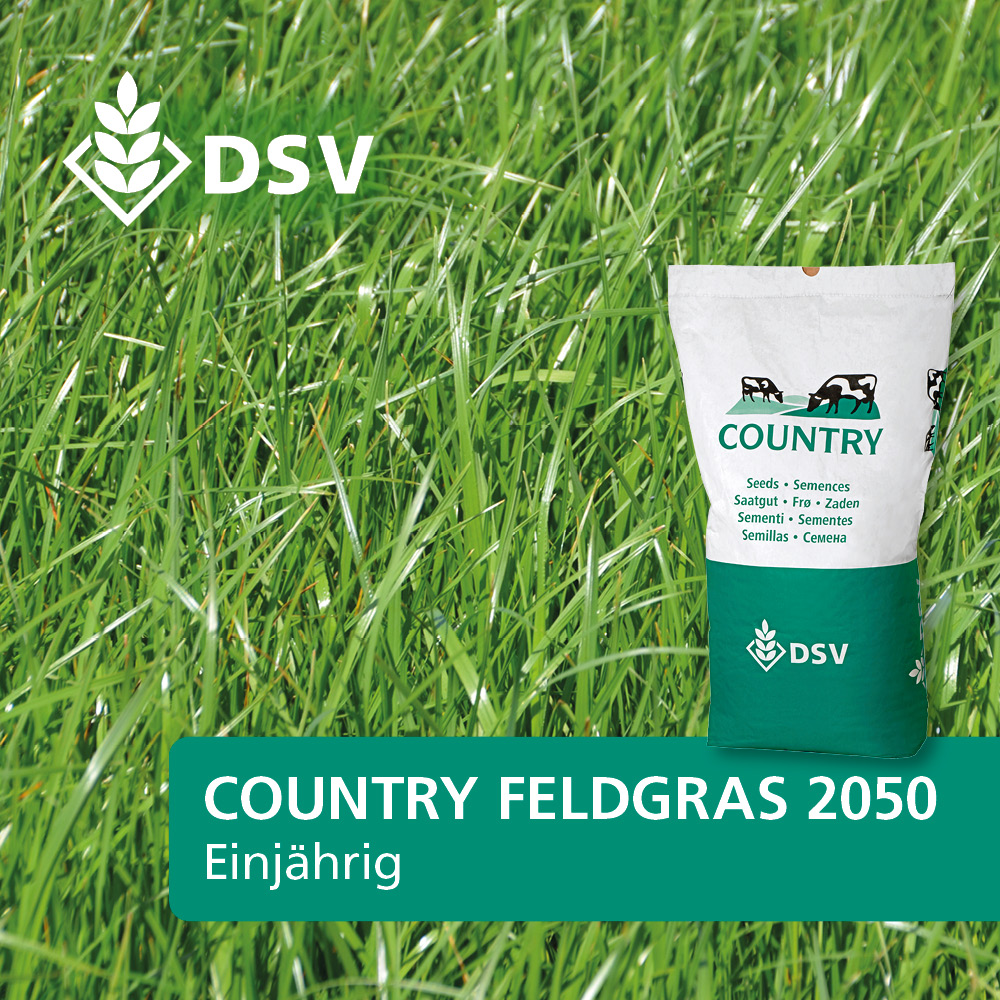 DSV Country Feldgras 2050