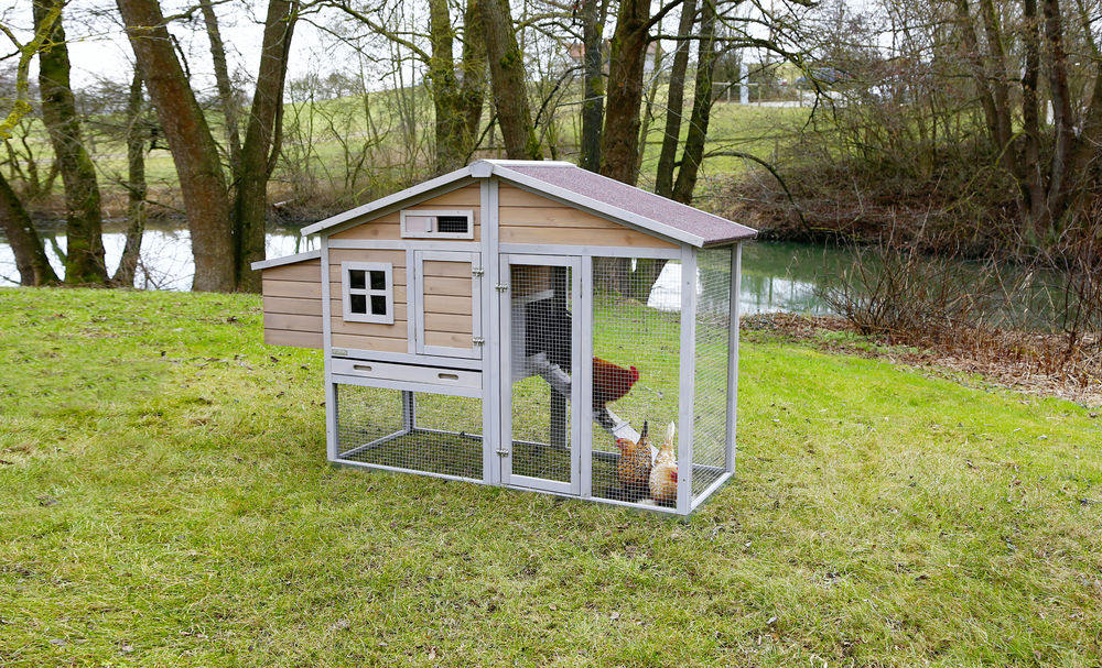 30081713 Mobiler Hühnerstall mit Metallrahmen am Boden