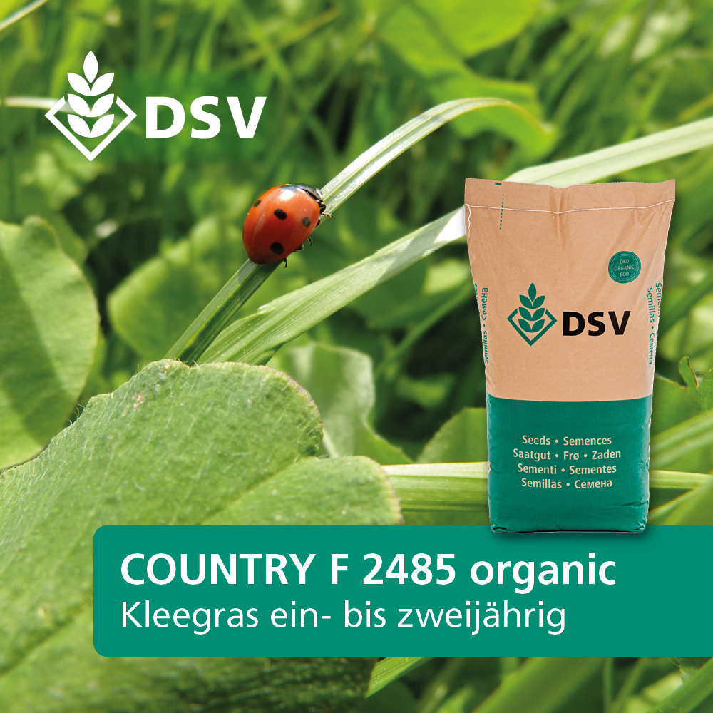 DSV Country Feldgras F 2485 Organ