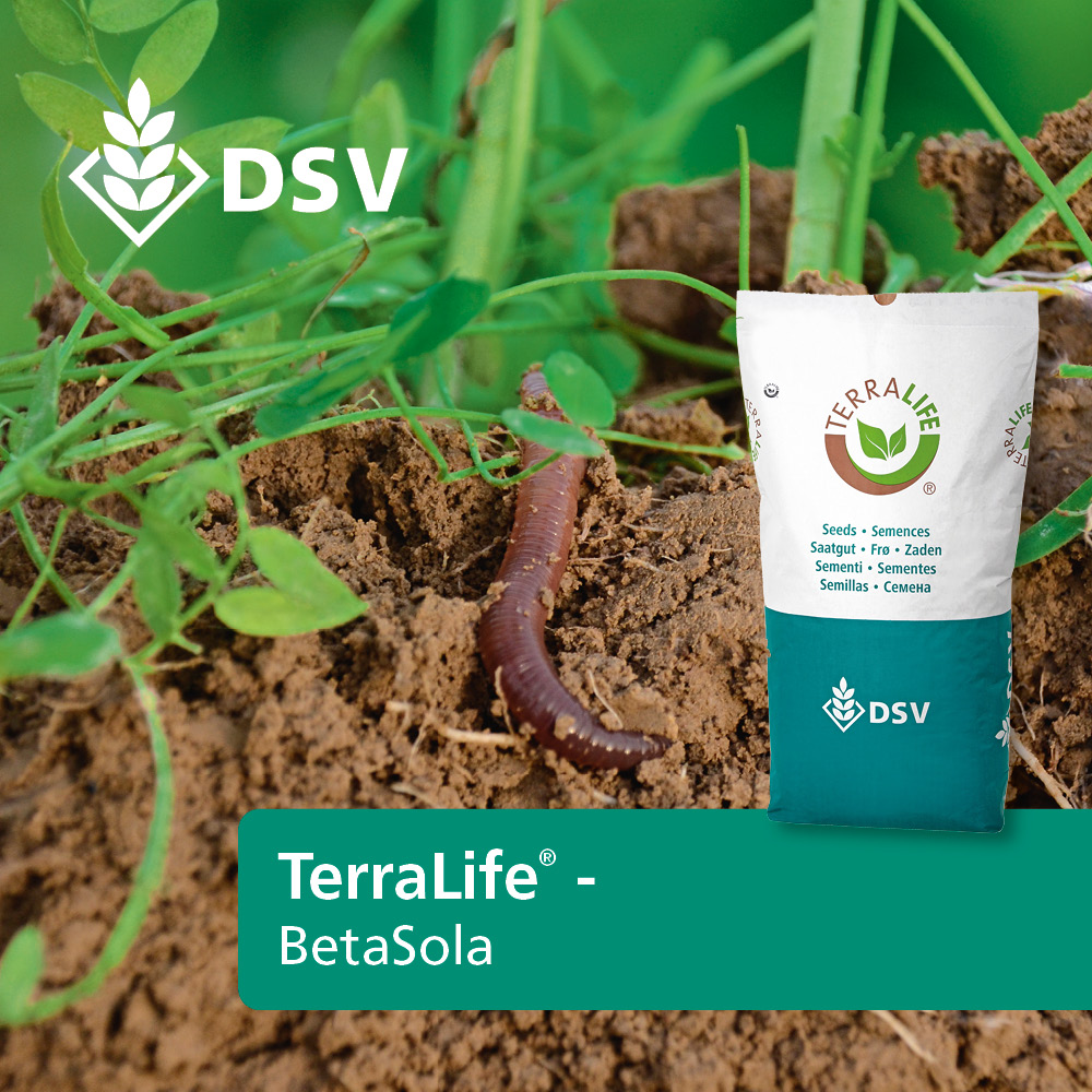 DSV TerraLife® BetaSola
