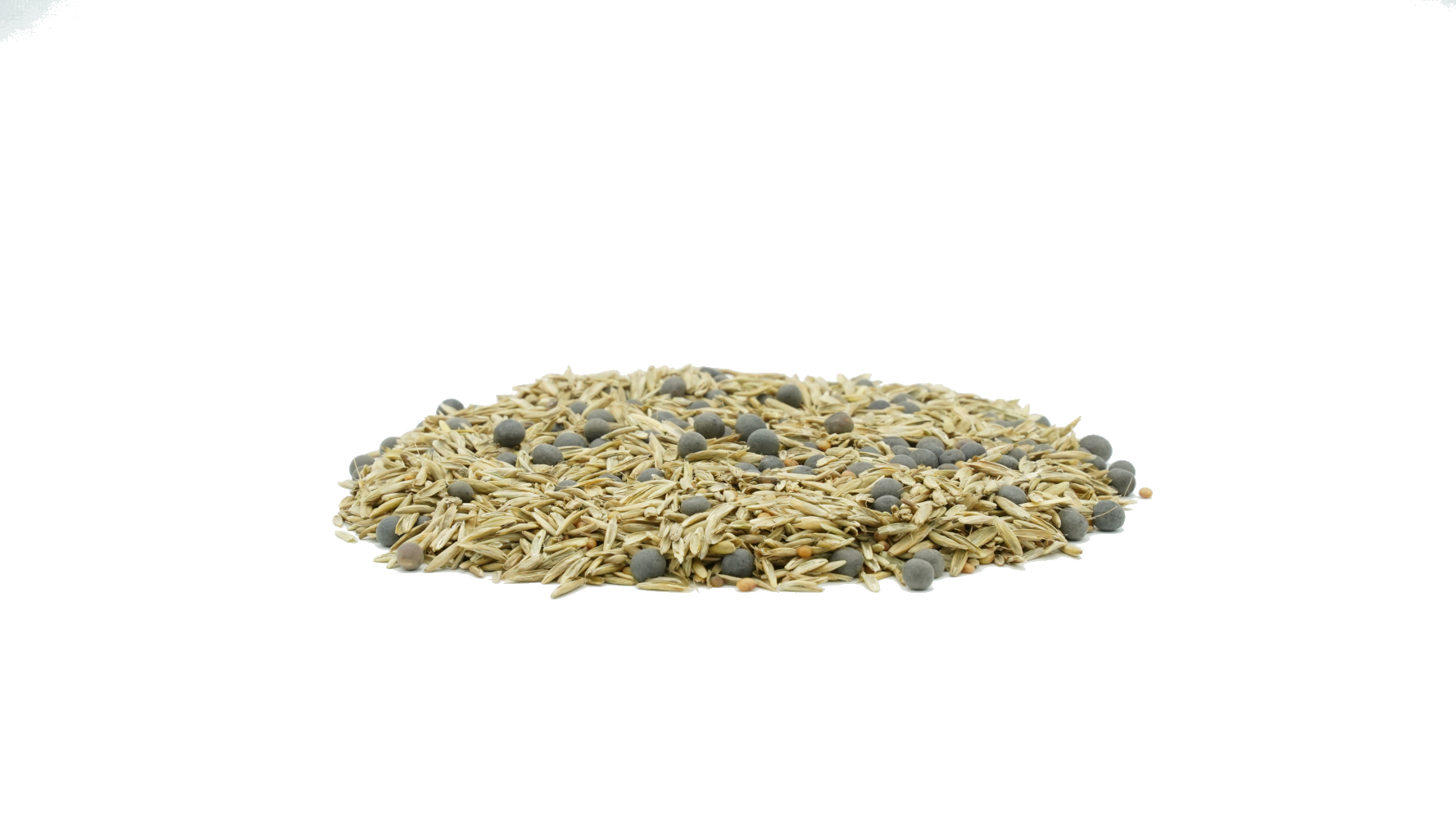 DSV TERRALIFE® Landsberger Gemenge