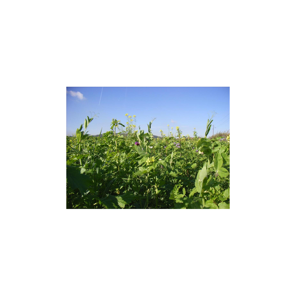 DSV TerraLife® BetaMaxx Organic