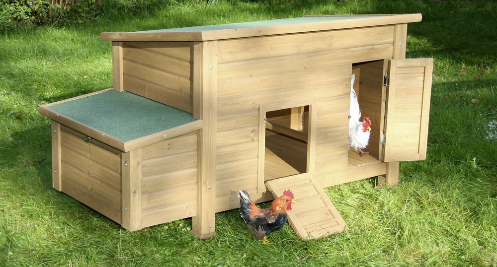 25749150 Hühnerstall Florentina