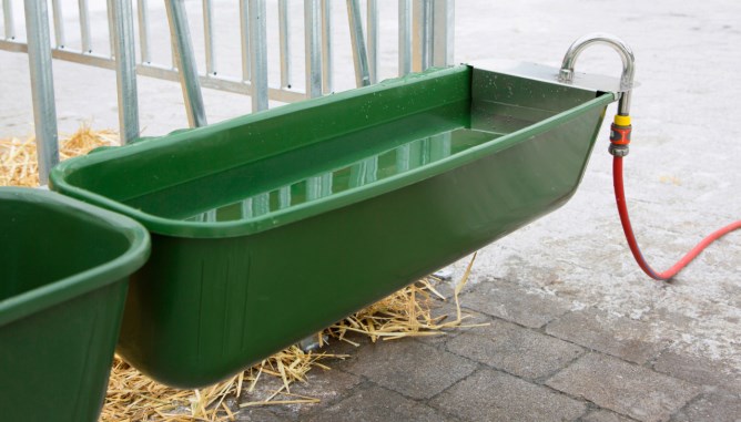 Langfuttertrog mit Schwimmerventil