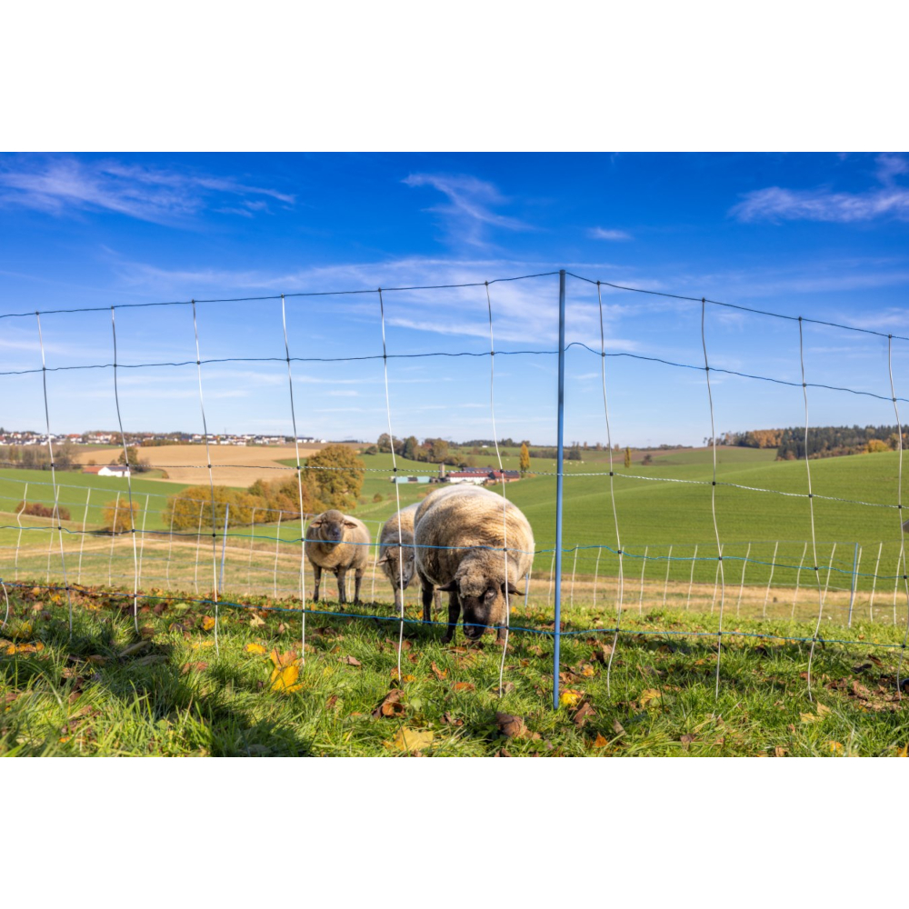 Ako Titan Light Premium | 50 m x 90 cm | Doppelspitze