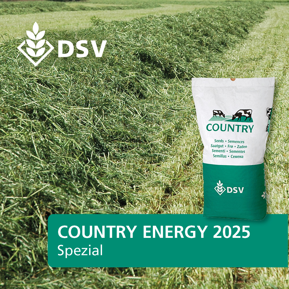 DSV Country Energy 2025